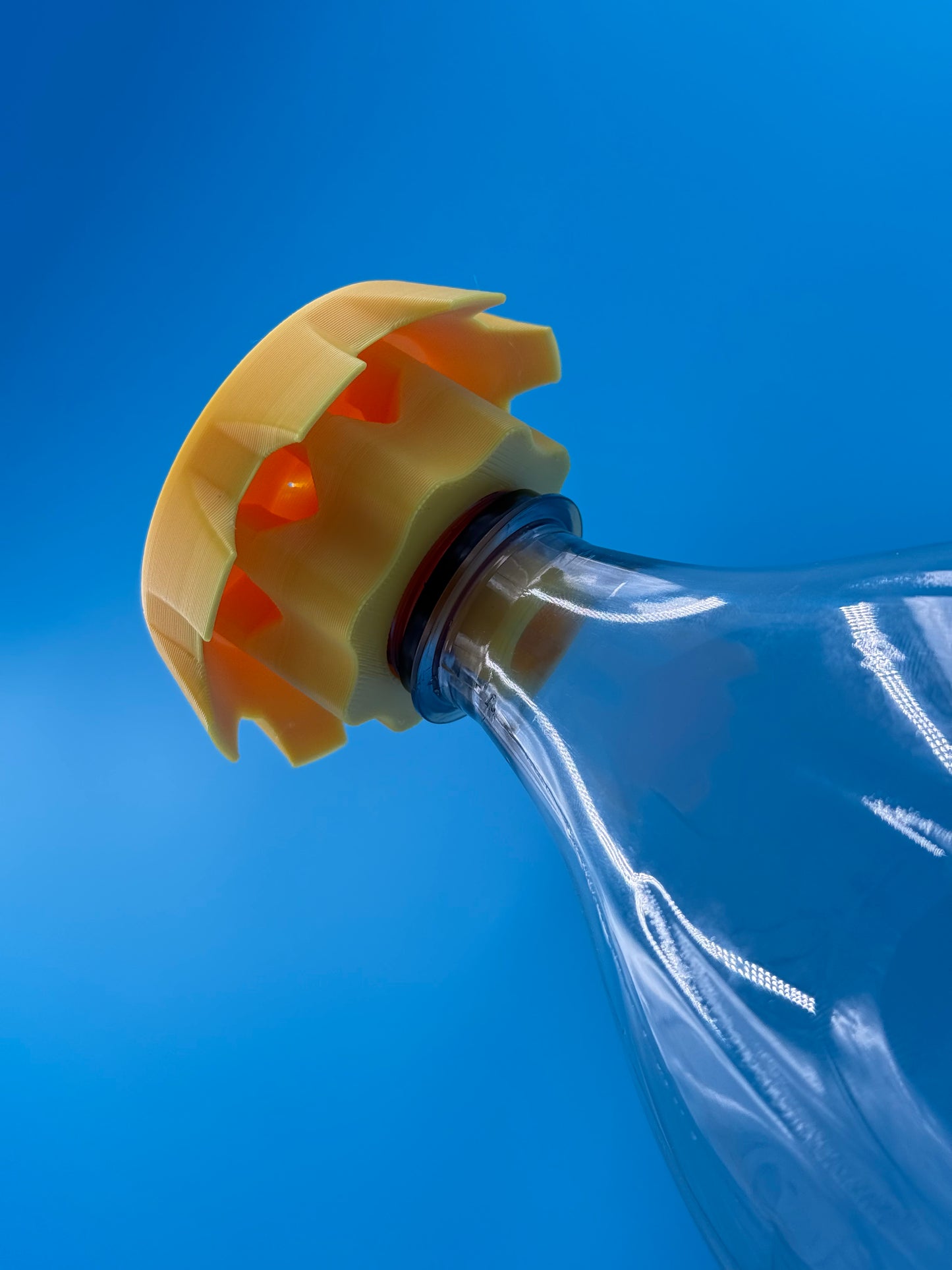 2 Liter Bottle Fly trap